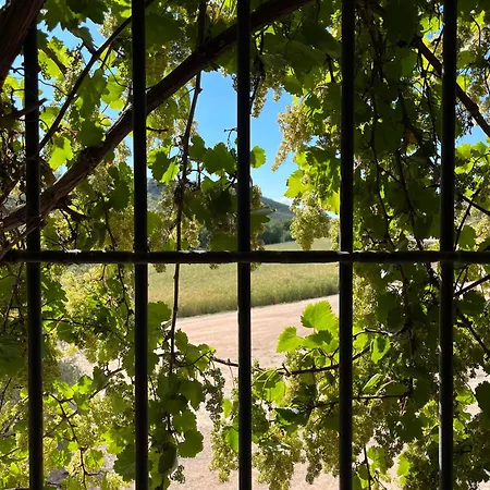 El Patio Del Molino - Rural 호스텔